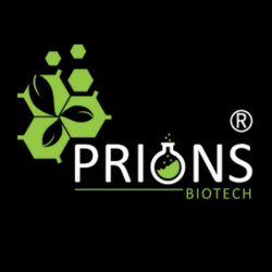 PRIONS